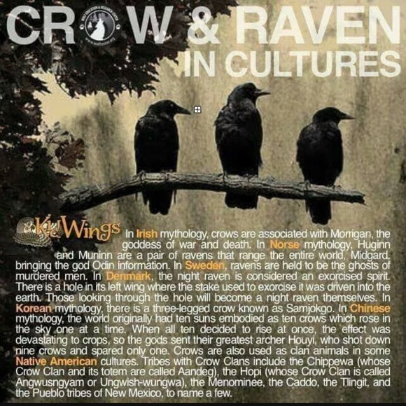 Meet your Posher - Picture 5 of 6